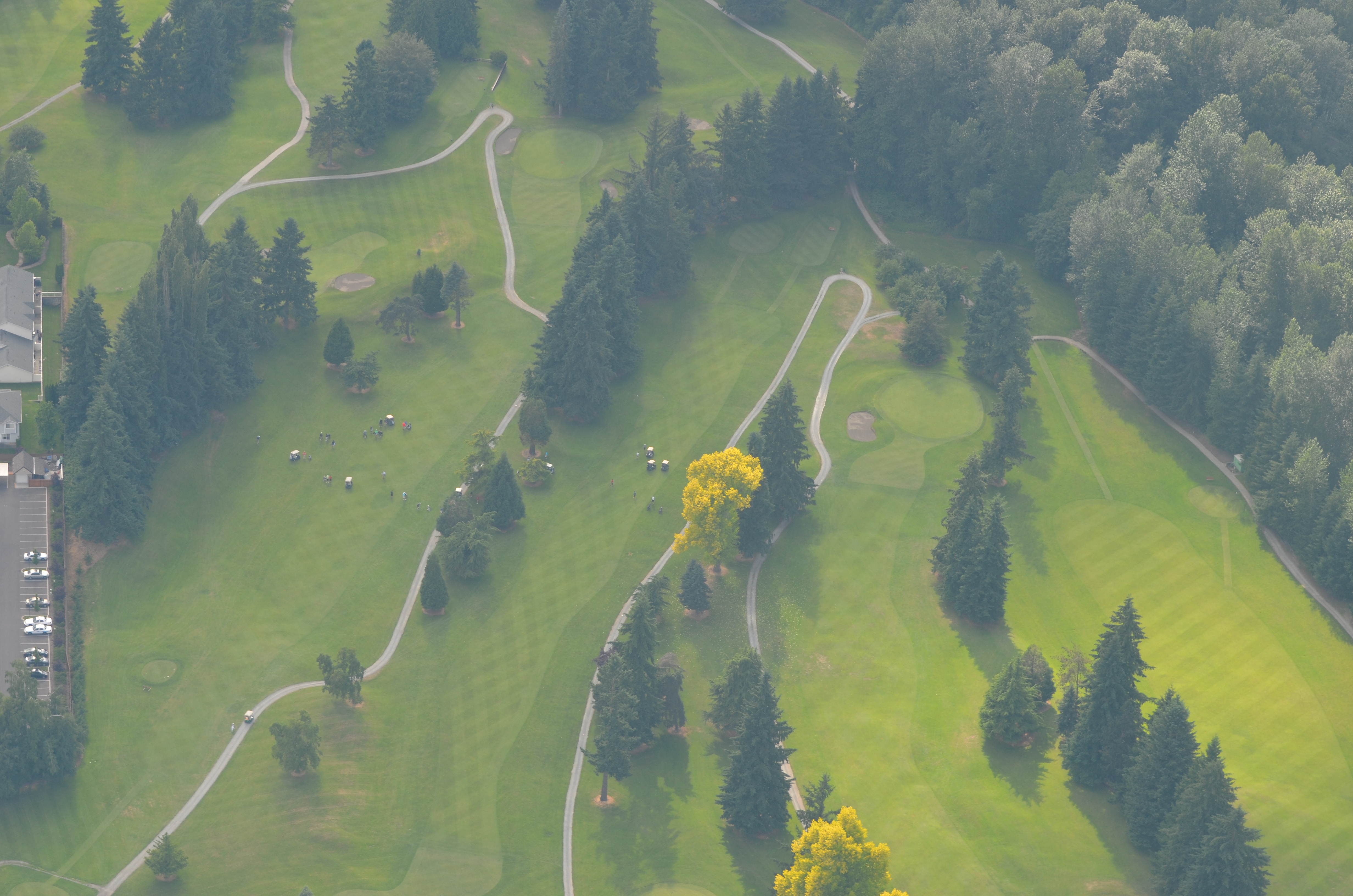 The Course Linden Golf & Country Club