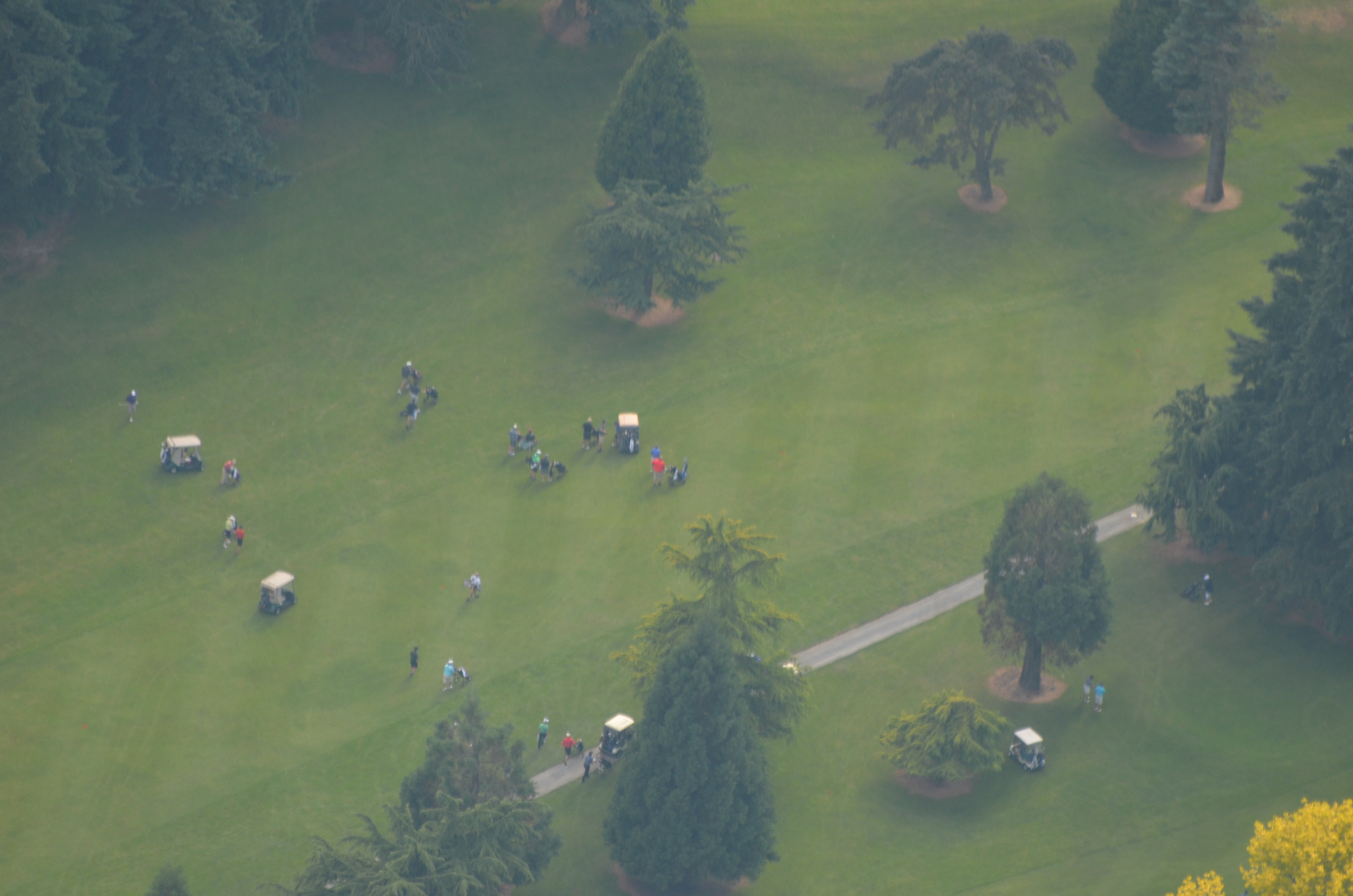 The Course Linden Golf & Country Club