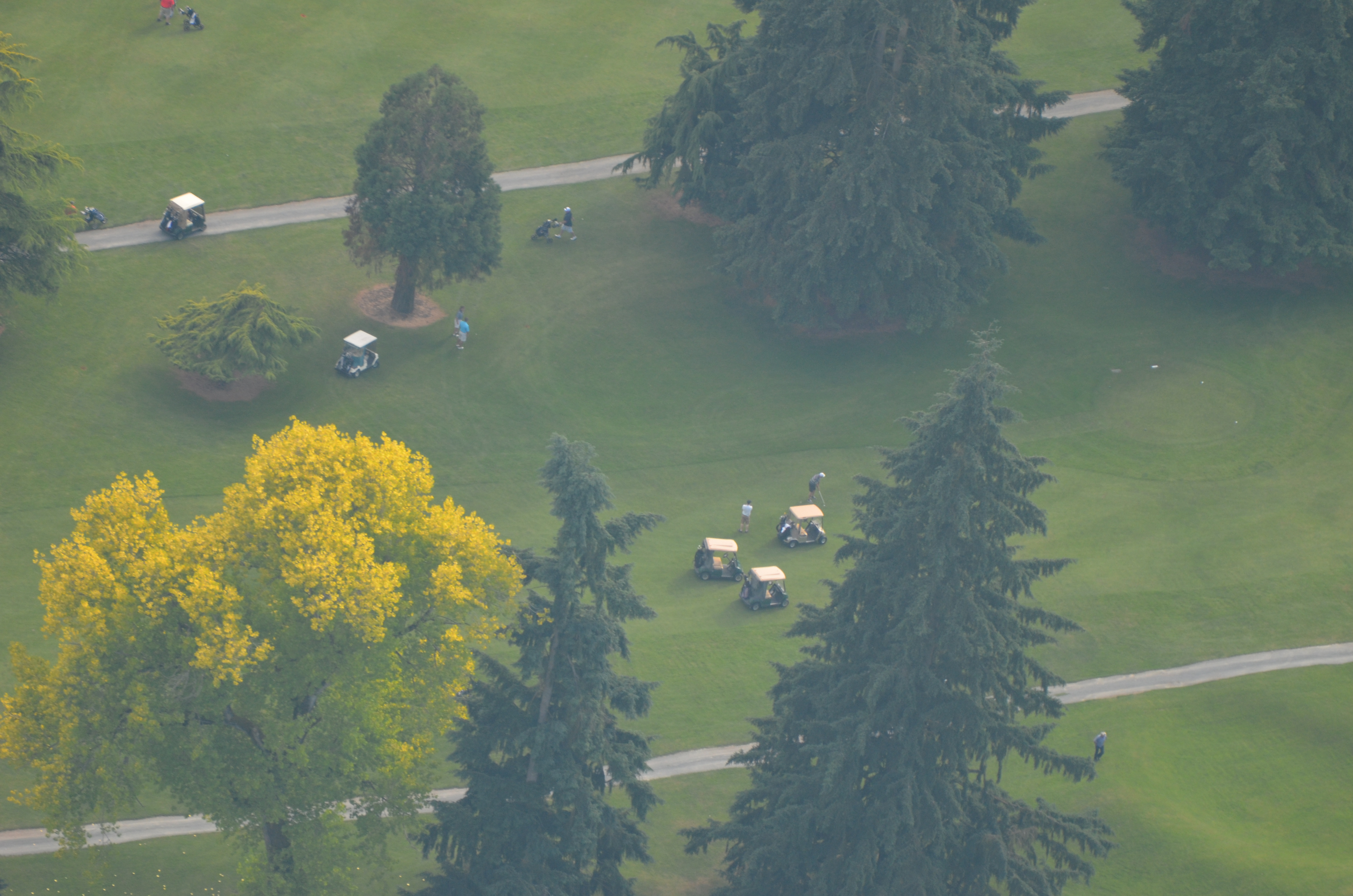 The Course Linden Golf & Country Club