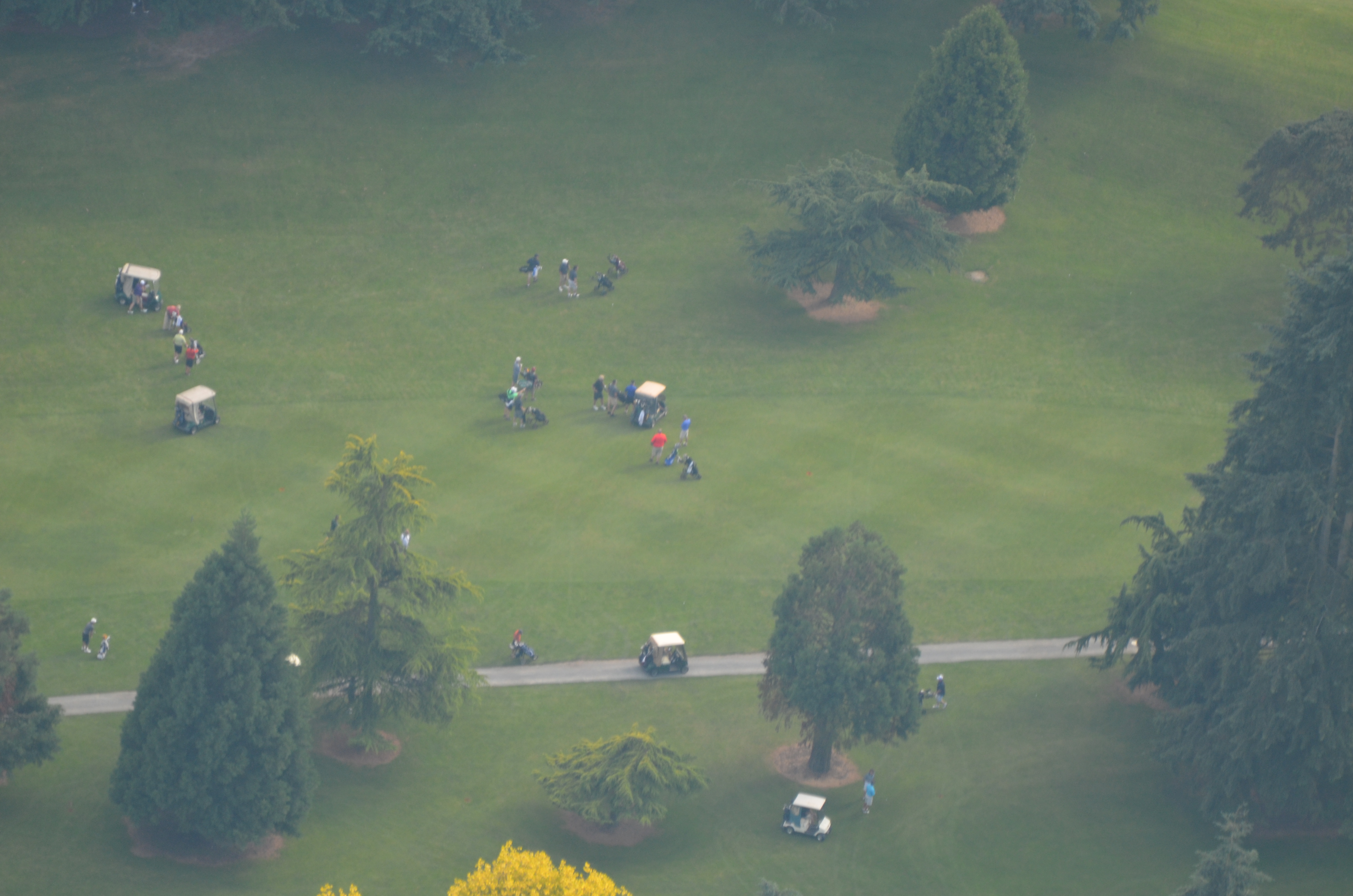 The Course Linden Golf & Country Club