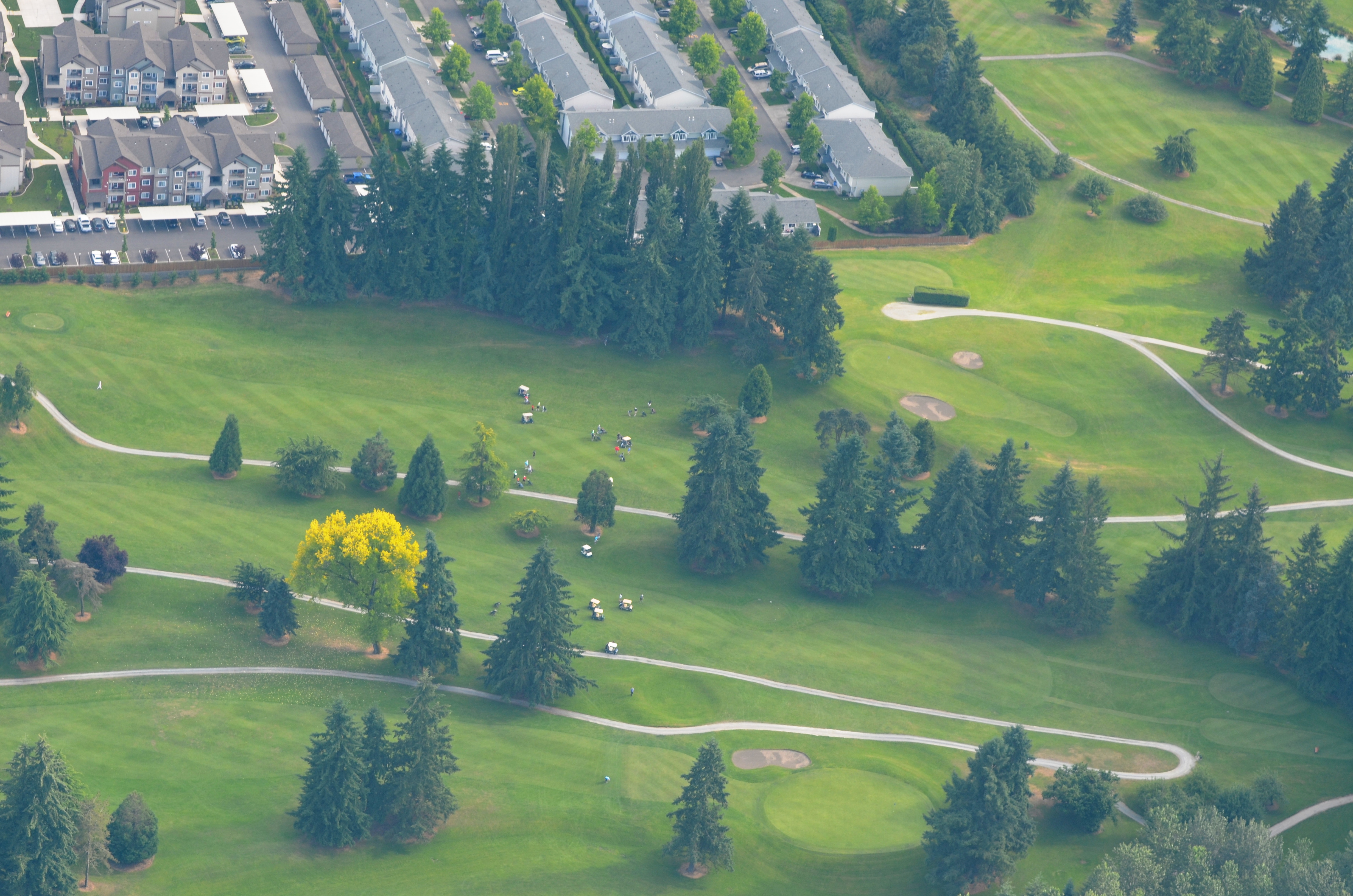 The Course Linden Golf & Country Club