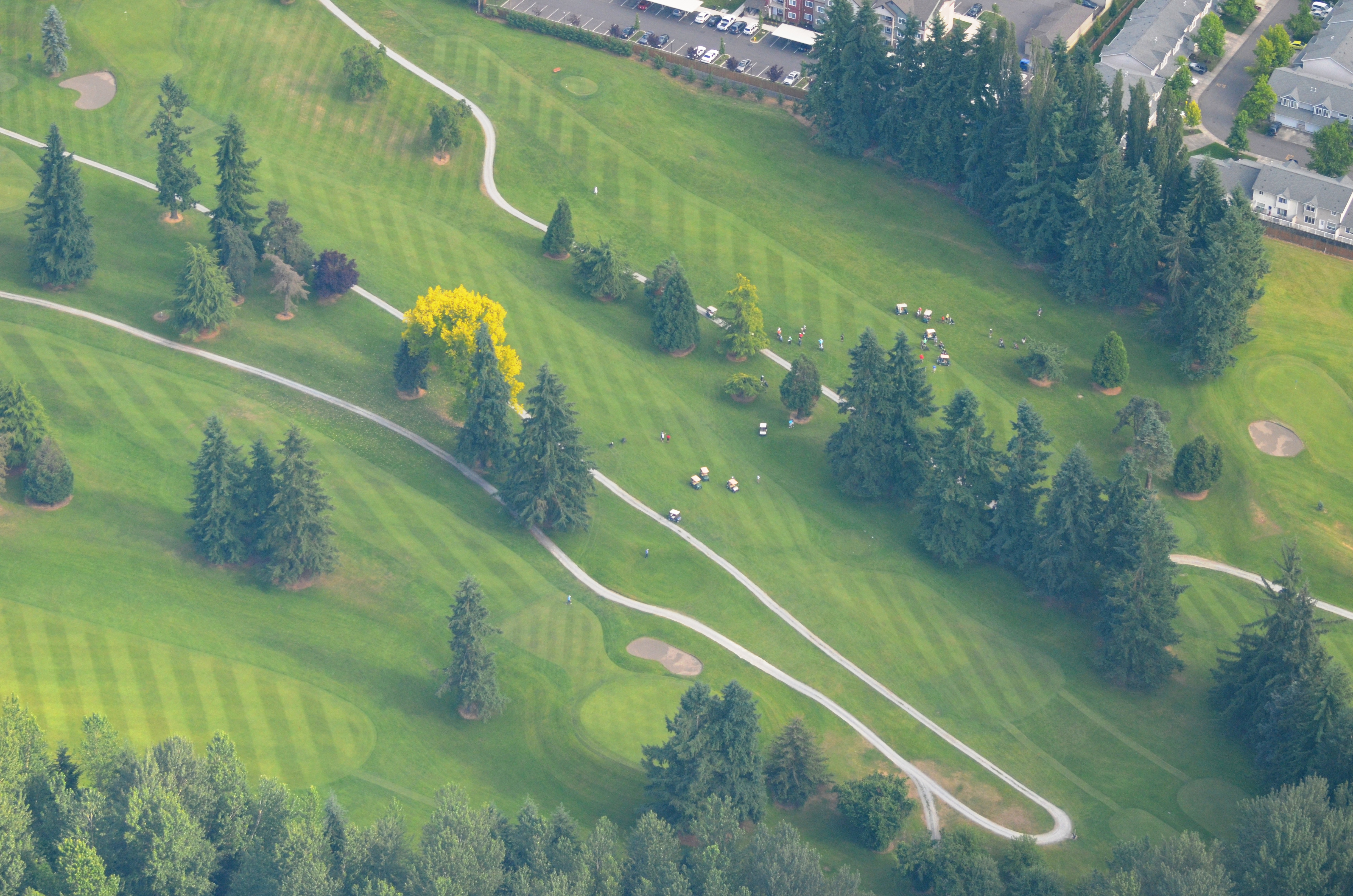 The Course Linden Golf & Country Club