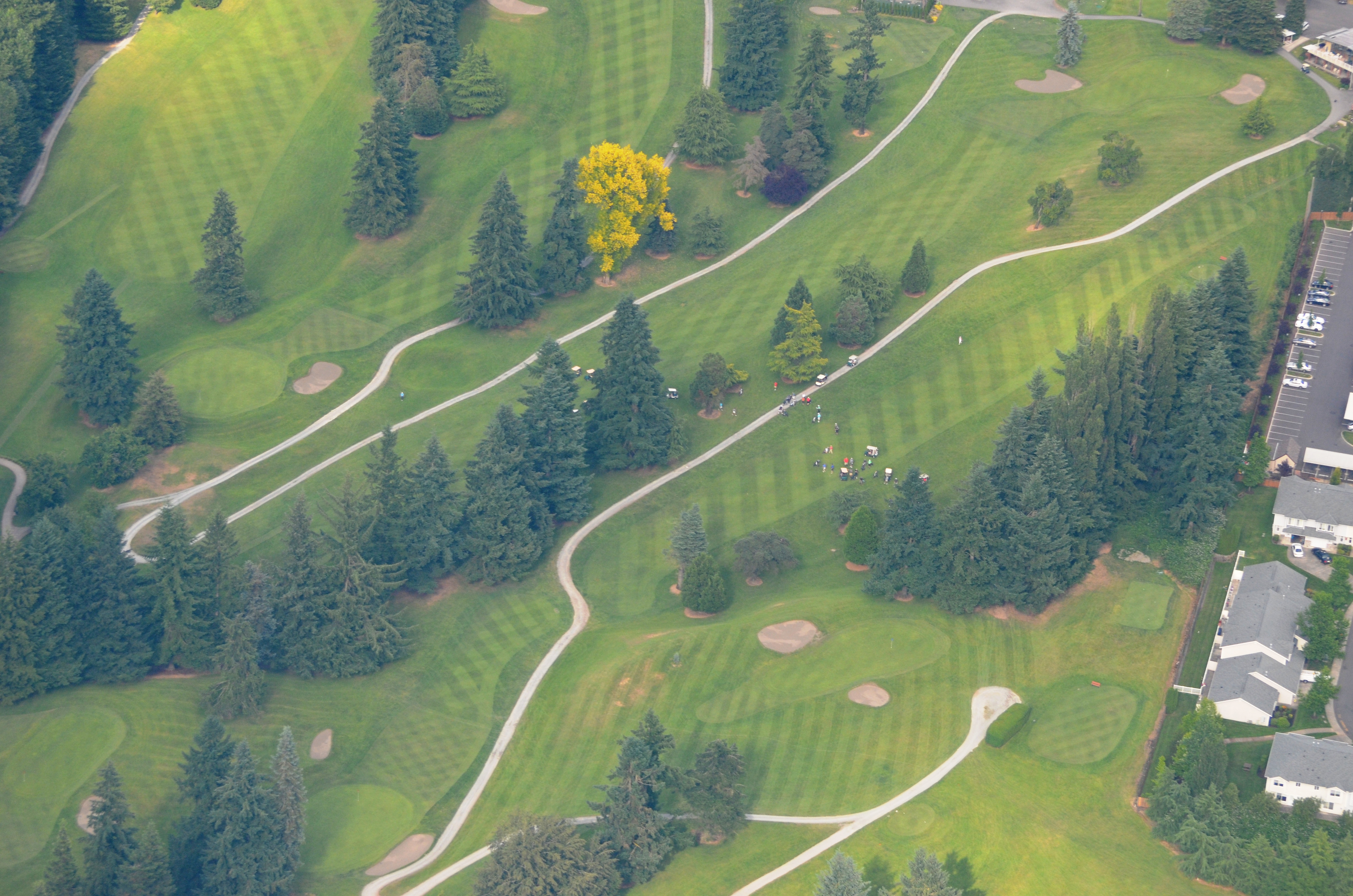 The Course Linden Golf & Country Club