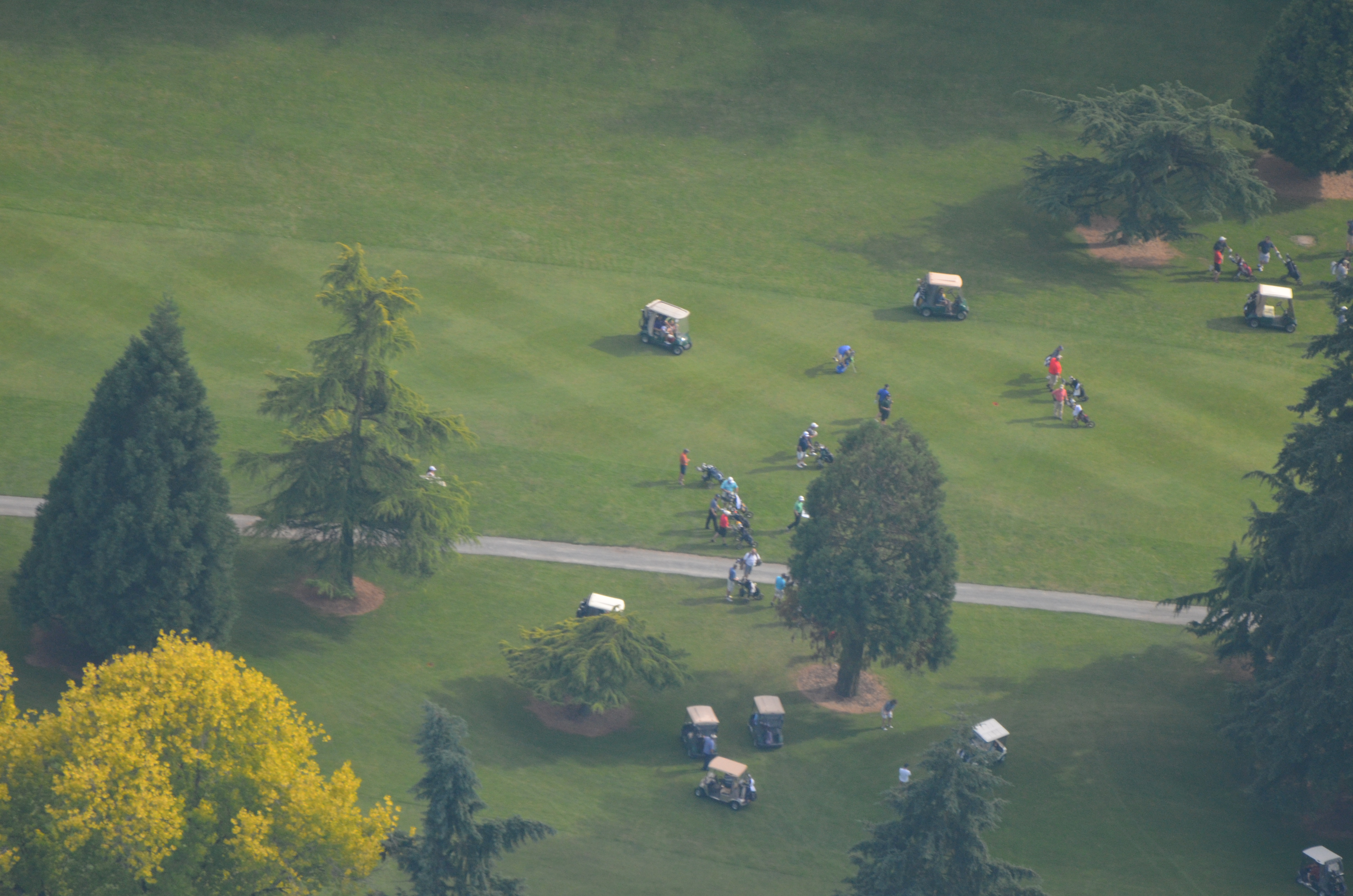 The Course Linden Golf & Country Club