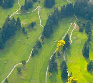 Member-Guest Horserace